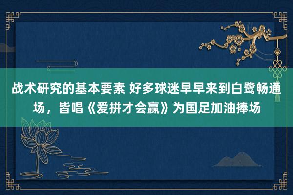 战术研究的基本要素 好多球迷早早来到白鹭畅通场，皆唱《爱拼才会赢》为国足加油捧场