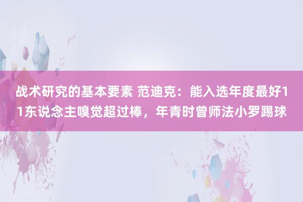 战术研究的基本要素 范迪克：能入选年度最好11东说念主嗅觉超过棒，年青时曾师法小罗踢球