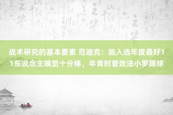 战术研究的基本要素 范迪克：能入选年度最好11东说念主嗅觉十分棒，年青时曾效法小罗踢球