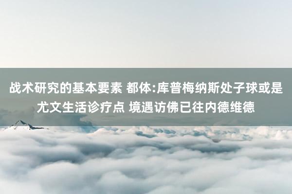 战术研究的基本要素 都体:库普梅纳斯处子球或是尤文生活诊疗点 境遇访佛已往内德维德