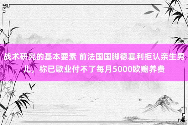 战术研究的基本要素 前法国国脚德塞利拒认亲生男儿，称已歇业付不了每月5000欧赡养费