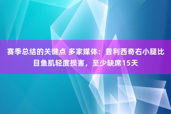 赛季总结的关键点 多家媒体：普利西奇右小腿比目鱼肌轻度损害，至少缺席15天