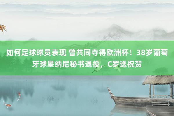 如何足球球员表现 曾共同夺得欧洲杯！38岁葡萄牙球星纳尼秘书退役，C罗送祝贺