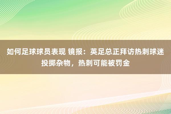 如何足球球员表现 镜报：英足总正拜访热刺球迷投掷杂物，热刺可能被罚金