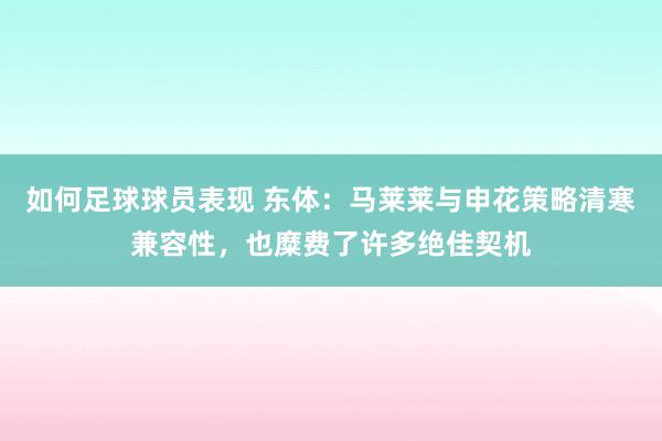 如何足球球员表现 东体：马莱莱与申花策略清寒兼容性，也糜费了许多绝佳契机