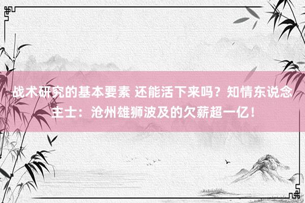 战术研究的基本要素 还能活下来吗？知情东说念主士：沧州雄狮波及的欠薪超一亿！