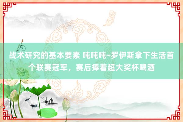 战术研究的基本要素 吨吨吨~罗伊斯拿下生活首个联赛冠军，赛后捧着超大奖杯喝酒