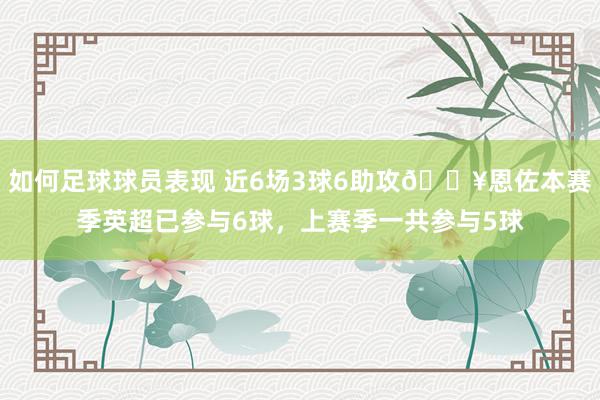 如何足球球员表现 近6场3球6助攻🔥恩佐本赛季英超已参与6球，上赛季一共参与5球